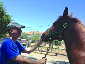 Mike Lewis and horse