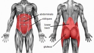 core-muscles
