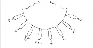 Pedal Diagram found in "Method for the Harp" (1900) by Albert Zabel
