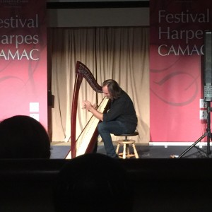 François Pernel in concert at the Princeton Harp Festival, Princeton, NJ
