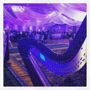 Indian/Bollywood Music wedding